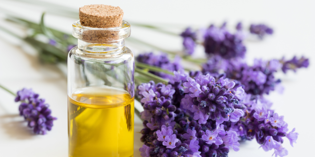 Lavender essential oils you can drink