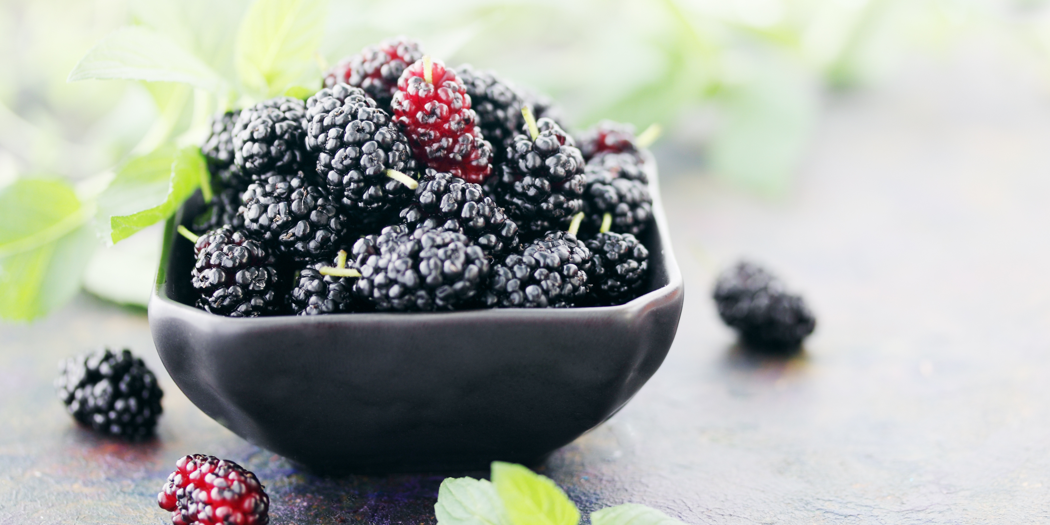 benefits of mulberry for your skin and health